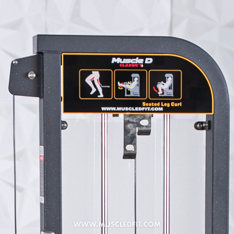 Classic V2 Selectorized Seated Leg Curl Machine – Muscle D Fitness