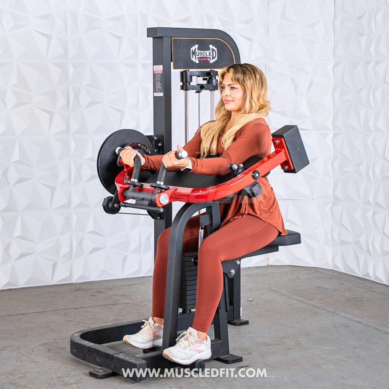 Classic V2 Selectorized Biceps/Triceps Combo – Commercial Gym Machine