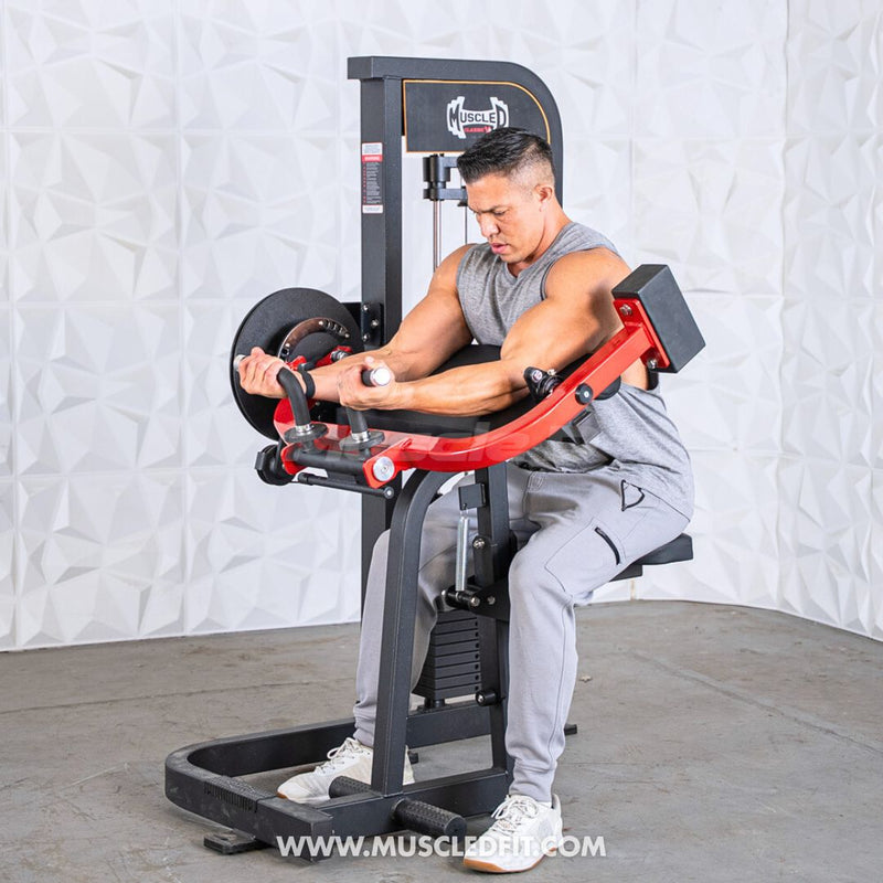 Classic V2 Selectorized Biceps/Triceps Combo – Commercial Gym Machine